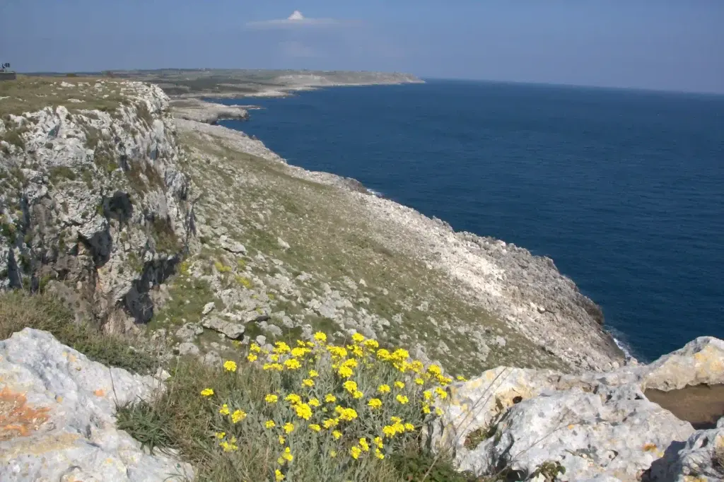 Coasts and sea of Salento