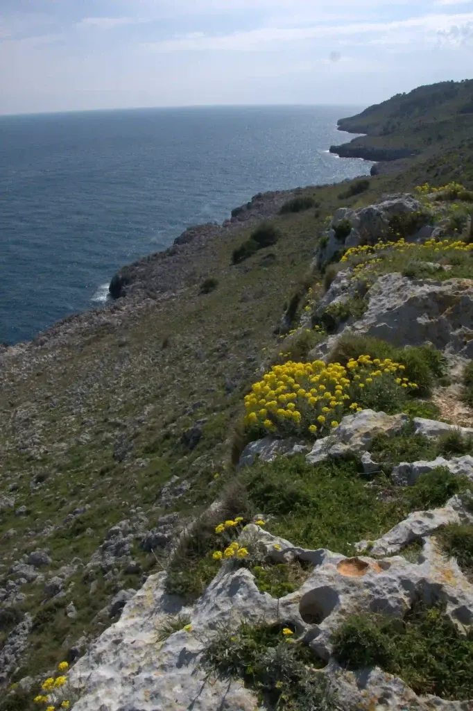 Coasts and sea of Salento