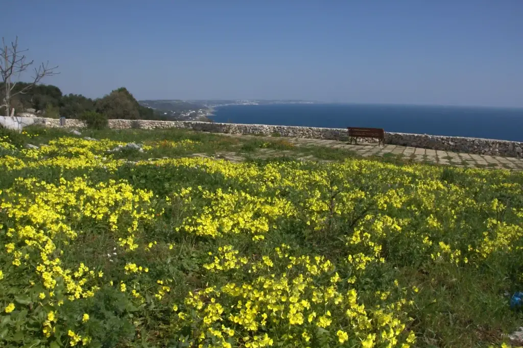 Coasts and sea of Salento
