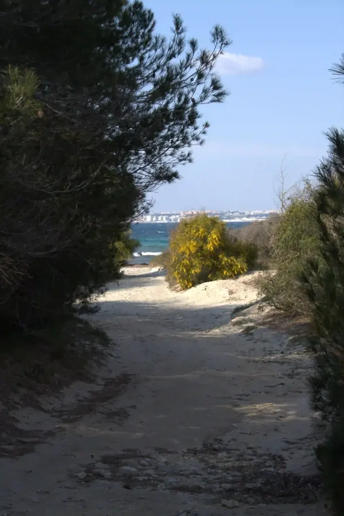 Coasts and sea of Salento