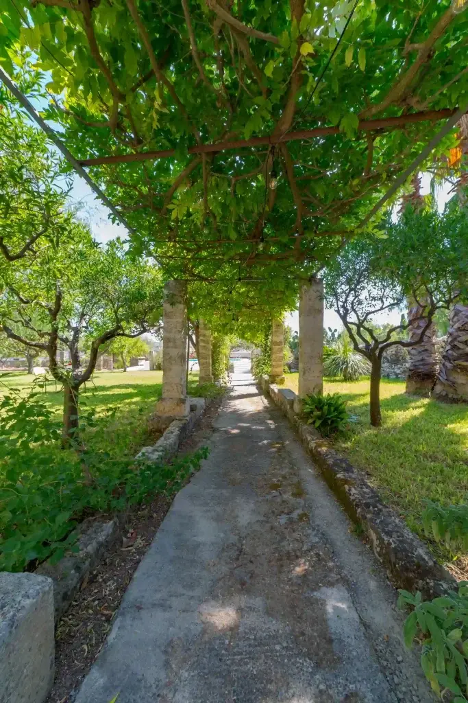 Specchia and Masseria De Donno