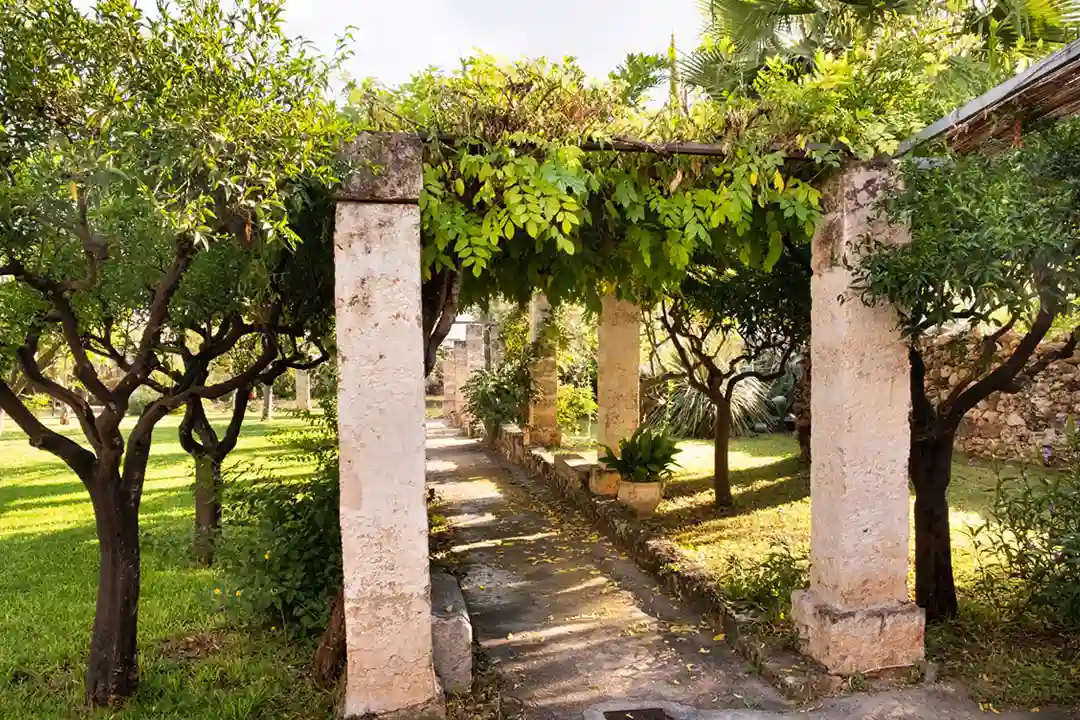 The garden of Masseria De Donno